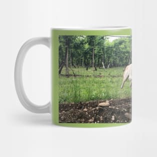 Doggy through the grapevine. Mug